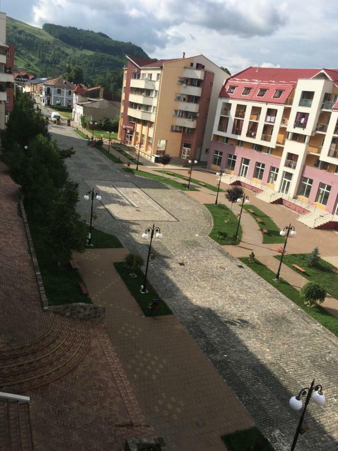 Apartament Antonia Διαμέρισμα Tîrgu Ocna Εξωτερικό φωτογραφία