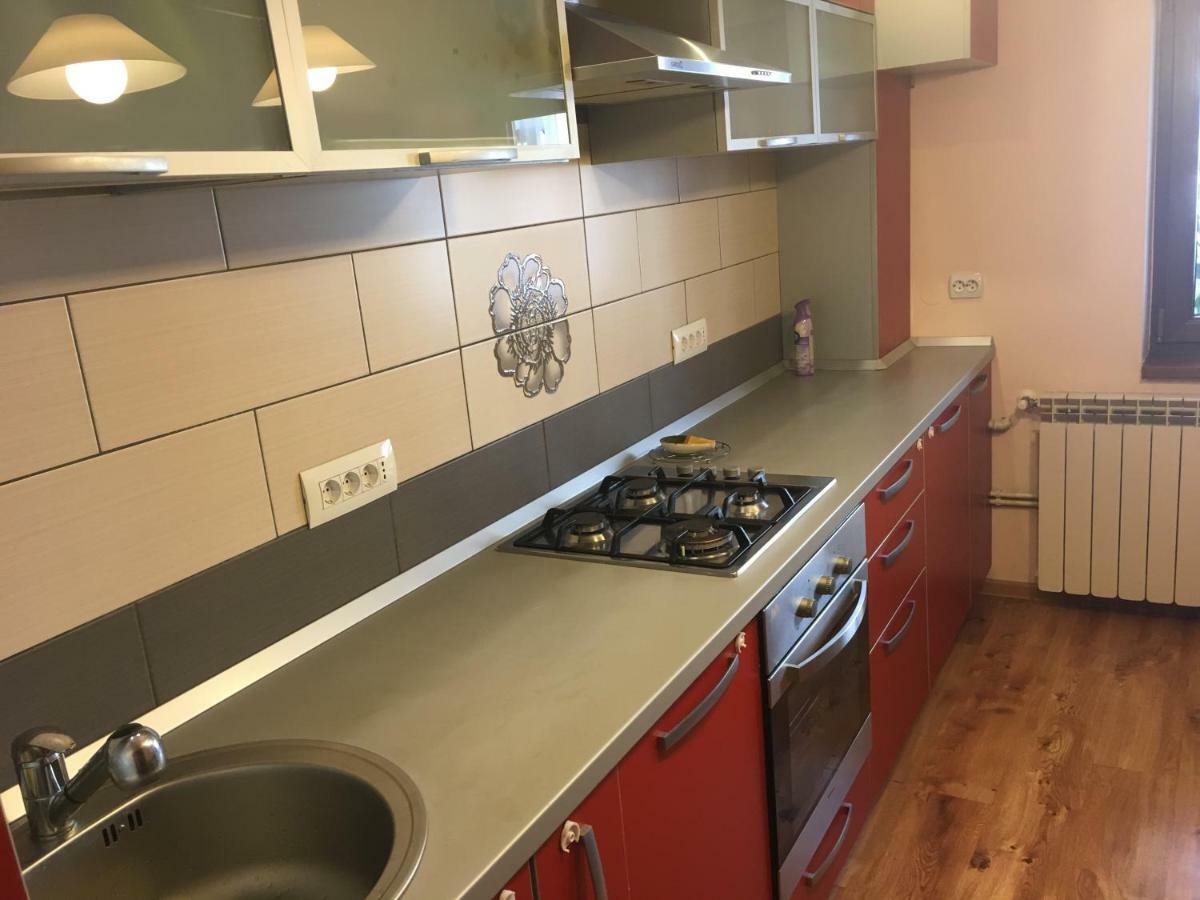 Apartament Antonia Διαμέρισμα Tîrgu Ocna Εξωτερικό φωτογραφία