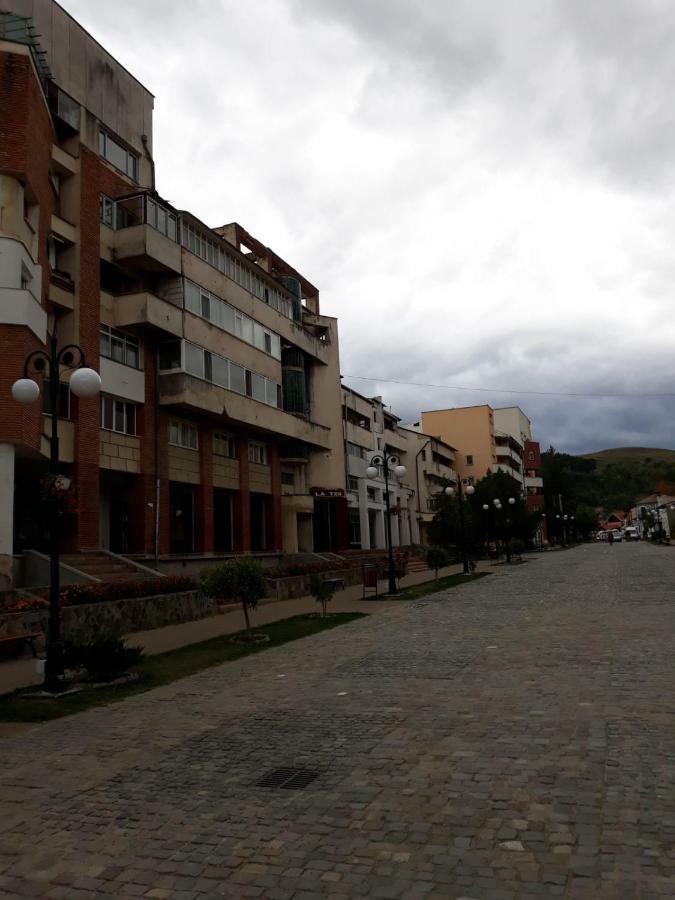 Apartament Antonia Διαμέρισμα Tîrgu Ocna Εξωτερικό φωτογραφία
